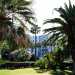...allombra di alte palme e rigogliose cycas